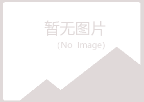 黄山黄山执着机械有限公司